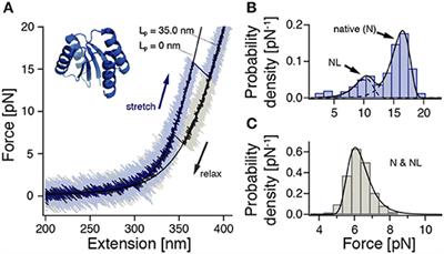 Slow Transition Path Times Reveal a Complex Folding Barrier in a Designed Protein